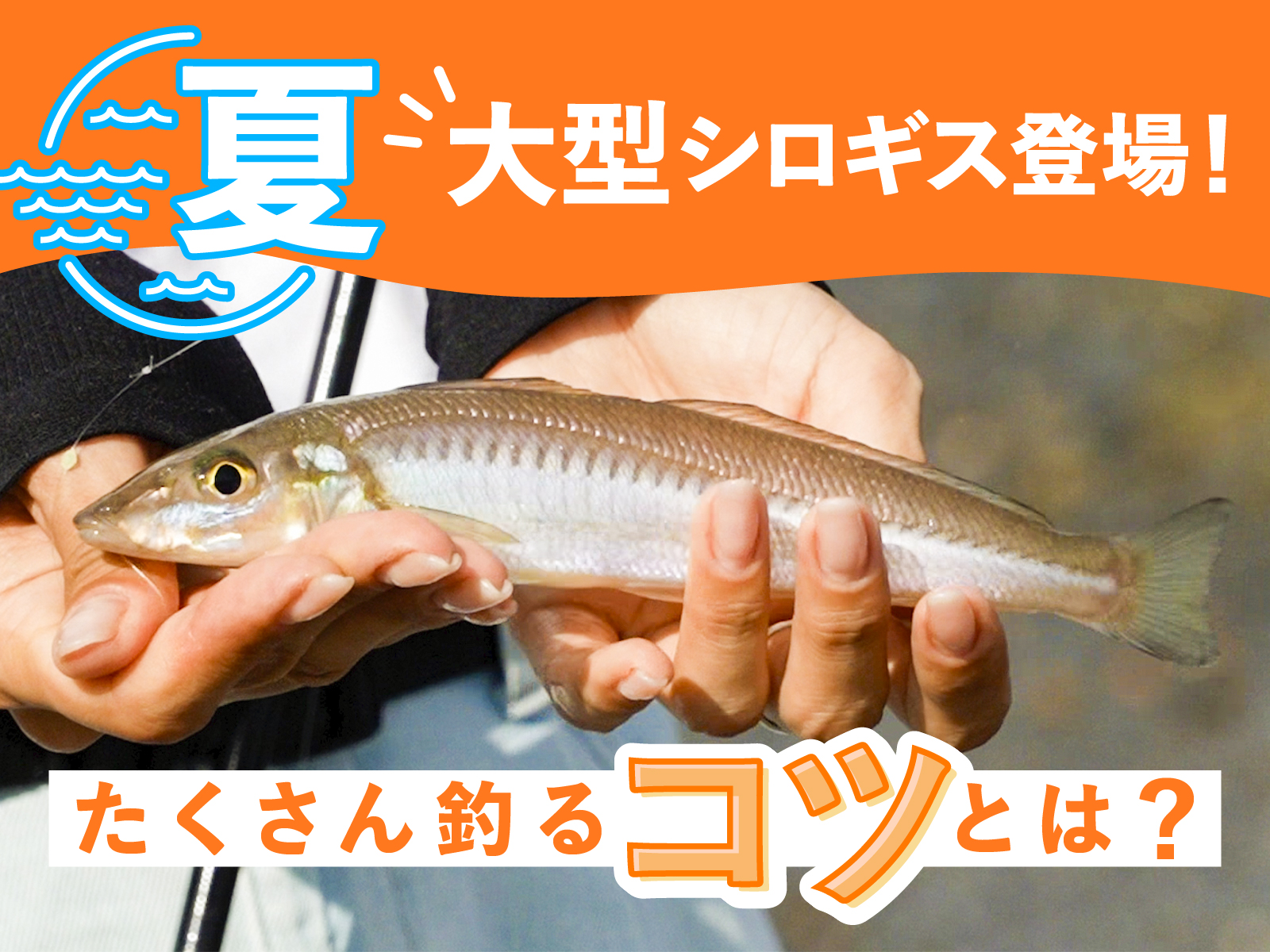 ８月海釣り 砂浜でシロギスの投げ釣り 釣果を伸ばすコツを分かりやすくご紹介 水野浩聡 石川文菜 Be Good Fun Egg ジャッカル グッド エッグ シリーズ