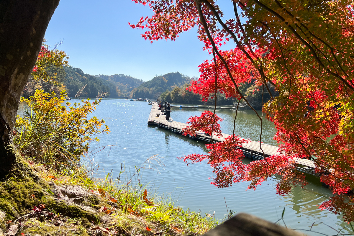 tsuri_repo_044_img6.jpg