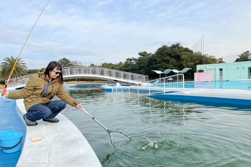 FISHING POOL PARK INAGE（稲毛海浜公園プール内） (@FISHINGPOOLPARK) / X